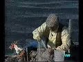 Belli sodi - Il signor Calogero e il pesce by Sergio Friscia