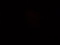 Those crazy ZIs - Drunk Talks in the Dark