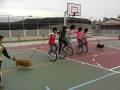 videos de 宇宙船3.AVI