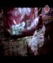 Madrugada-The Kids Are On A High Street