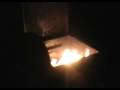 First Semestral Burning of the School Crap