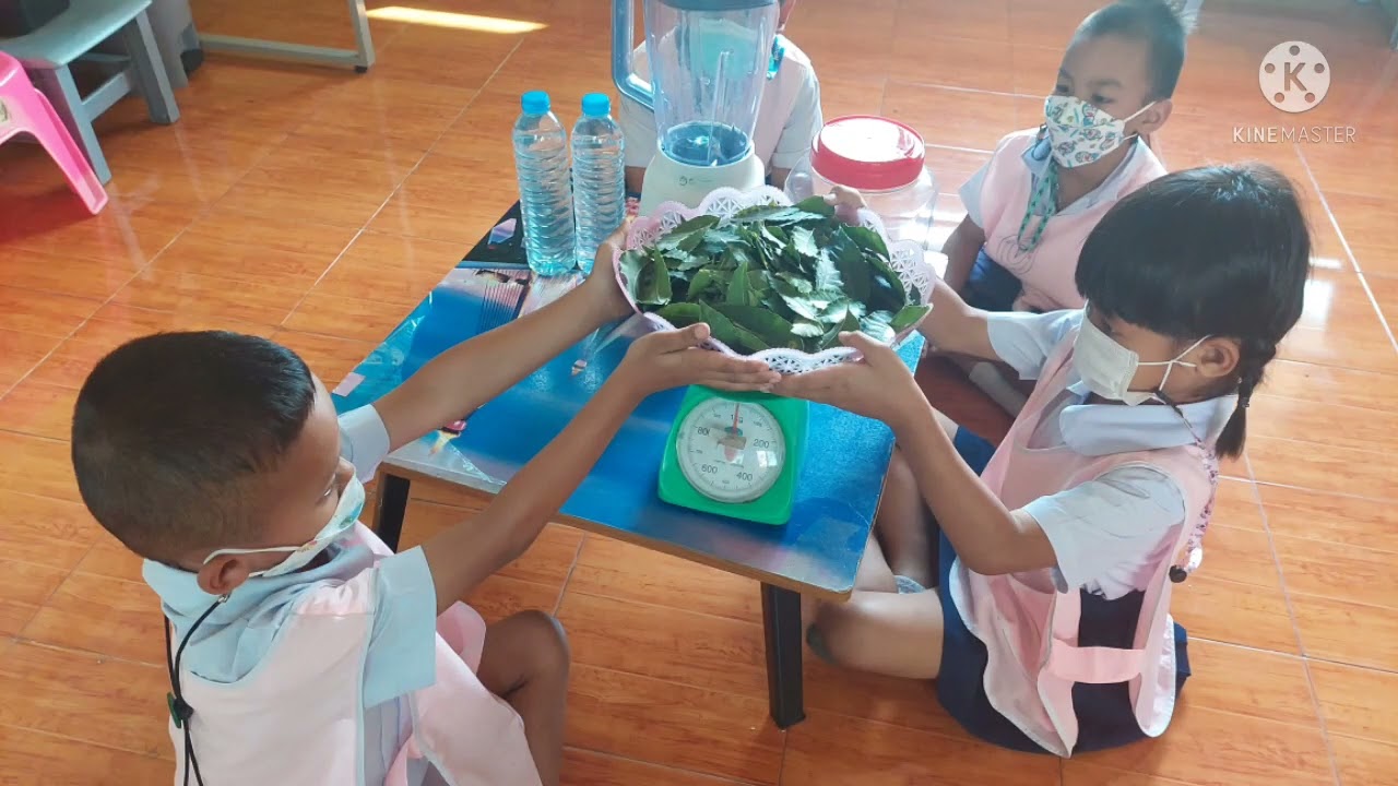 Active Smart Kids เรียนรู้ ลองทำ เน้นย้ำทักษะ ชั้นอนุบาล 3 โรงเรียนอนุบาลศรีสวัสดิ์