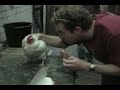 Eat KFC in front of a live chicken! I DARE YA!