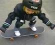 futur tony hawk or rodney mullen