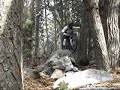 Downhilling, Upper Little Cottonwood Canyon Trail