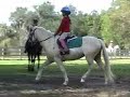Nov 24-07 Dressage lesson @ Welbreds Farm in Fl