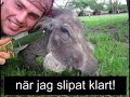 ryska national sången ryska national sången