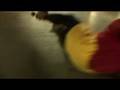 The Weird Girls Project Episode 5 / Ghostigital : Hovering Hoover Skates