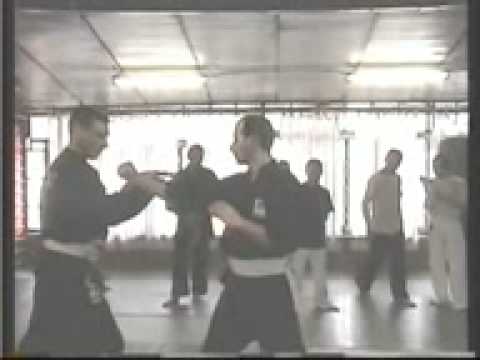 Persaudaraan Setia Hati Seminar in Italy 2008 Part 2