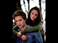 Twilight Treetop Scene Pictures Twilight Treetop Scene Pictures