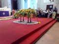 il funerale di gianfranco funari blowing in the wind e i girasoli