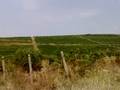 Conac Valea Calugareasca
