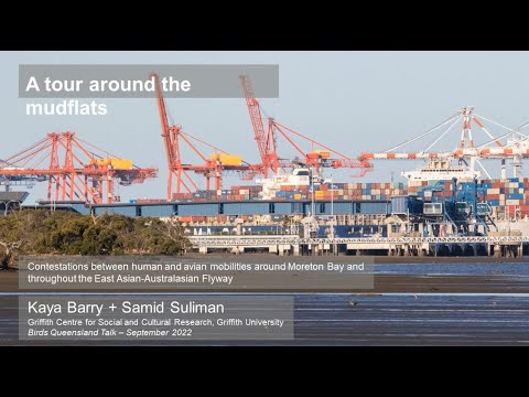 <p>Contestations between human and avian mobilities around Moreton Bay and throughout the East Asian-Australasian Flyway</p>
 video thumbnail
