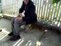 videos de ubriachi per sempre