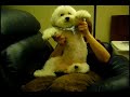 Thumbnail #2