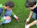 Cutting the Grass