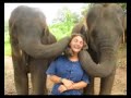 Elephant Kisses