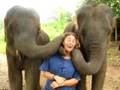 Elephant Kisses