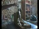 Le Sculture di Nicola Biagini 2008 - conosci l'artista