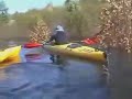 Javali-VS-Kayak