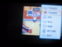 Pokemon Diamond my team and Pokerus
