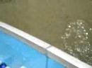 Pesca en Tacarigua