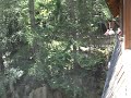 SDC10327
