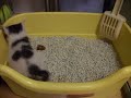 YouTubeサムネイル[gxQiHWuIbcg] - 2枚目