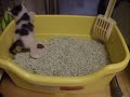 YouTubeサムネイル[gxQiHWuIbcg] - 3枚目