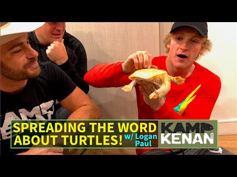 YouTube reptile video