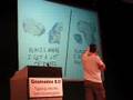 Matt Harding Dancing at Gnomedex 2008