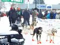 Can -Am Dog Sled Race Fort Kent, Maine