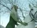The Smashing Pumpkins - Dreaming. [D'Arcy Wretzky tribute]