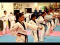 JIU JITSU & TAEKWONDO (Lima Machado Academy In California)