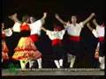 CULTURA COMUN PROMO