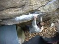 Gravitas - Gunks Bouldering
