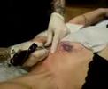 Chest Tattoo 18-2-07
