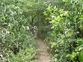 Curso de Sobrevivência - Selva !!! Curso de Sobrevivência - Selva !!!