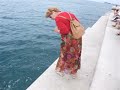 seaorgan seaorgan