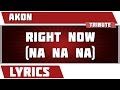 Right Now (na Na Na) - Akon Tribute - Lyrics