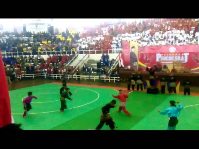 Fasrblind Blog Fasrblind Blog