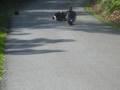 videos de oucher