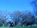 flying a kite flying a kite