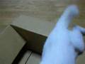 ∞プチプチ動画13