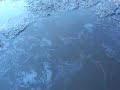 BioRem-2000 Fuel Spill