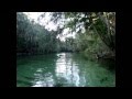 Blue Spring State Park - Orange City, FL - YouTube