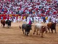 San Fermin 2007 - Plaza de Toros