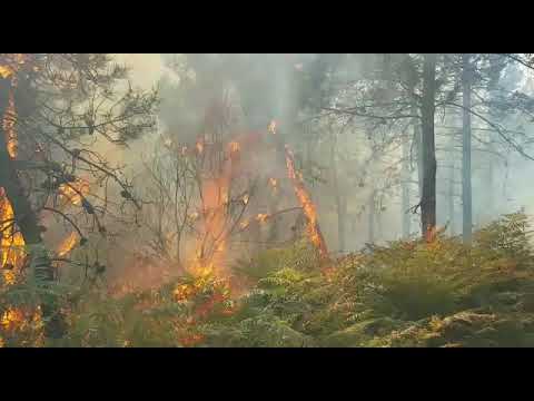 Incendio Monte Serra, fiamme altissime viste da vicino