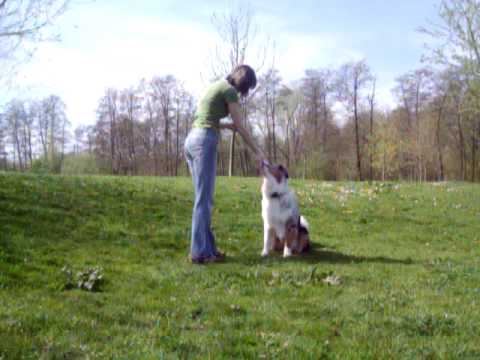 Video ansehen