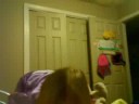 Savannah\ Savannah\